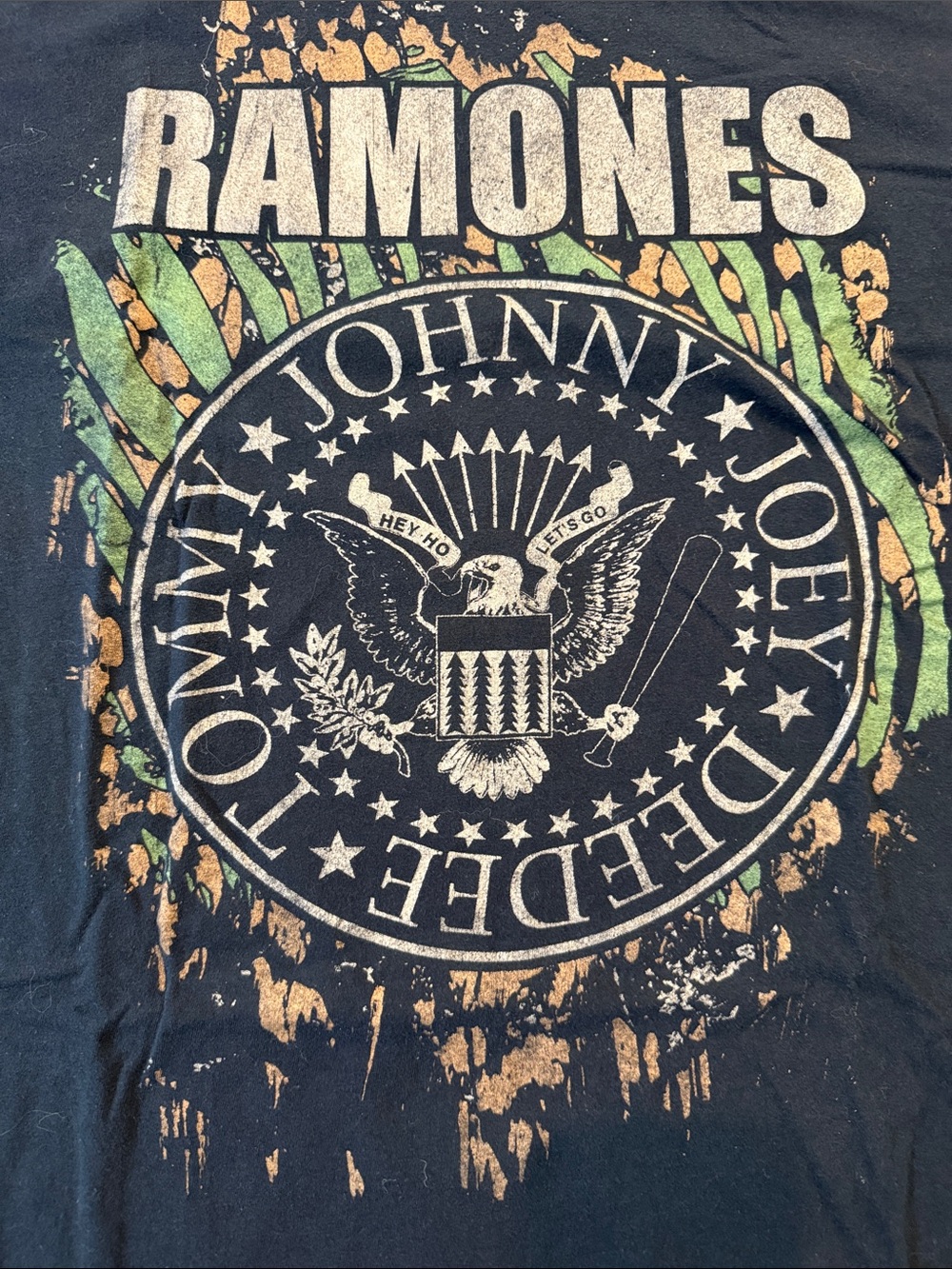 Ramones Band Graphic Tee in Black with Green & Tan Print